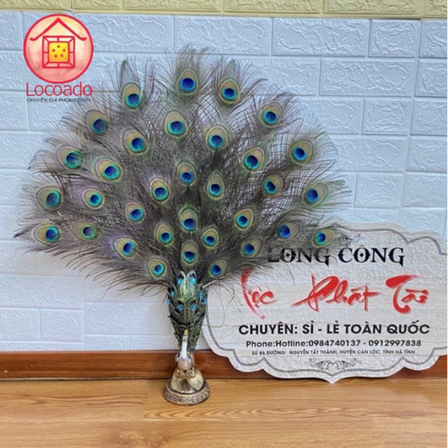 Bình cắm lông công, cắm hoa, giữ nến Hàng Nhập Khẩu