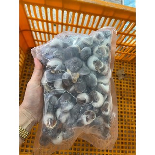 HỎA TỐC - ỐC MỠ TƯƠI CẤP ĐÔNG 1KG/ NET 9