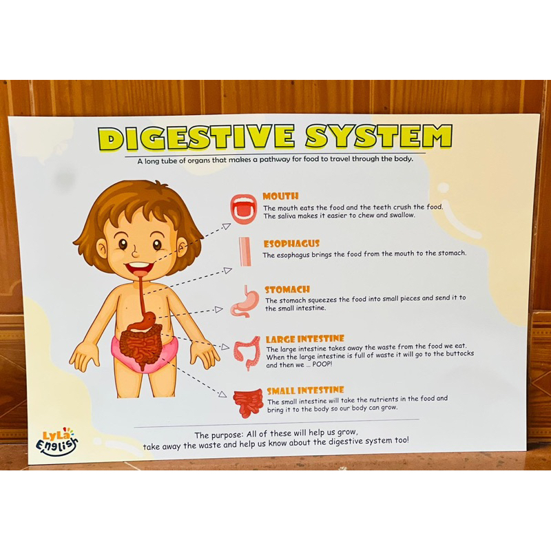 Bộ Thuyết Trình Tiếng Anh Theo Sơ Đồ Tư Duy Sản Phẩm Mới Rất Hữu Ích Cho Bé