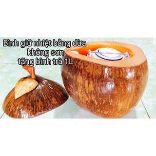 Bình giữ nhiệt bằng dừa không sơn tặng bình trà / Vỏ bình trà/Bình ủ ấm nước