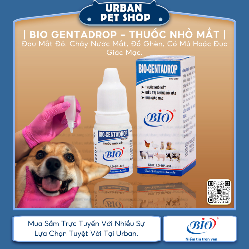 Bio Gentadrop - Nhỏ Mắt Cho Thú Cưng