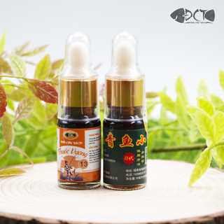 Hương liệu câu cá thuốc vương 13 - đài câu thích