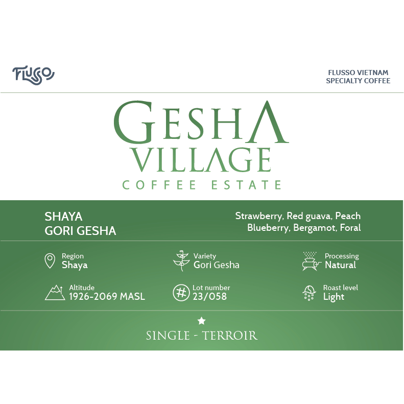 Gesha Village Shaya Gori Gesha Natural Lot 23/058