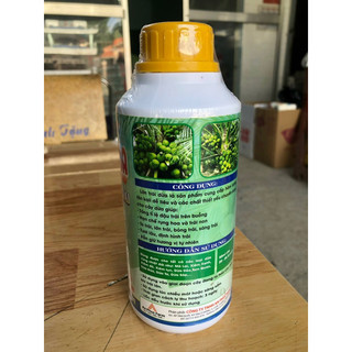 Lớn trái dừa, dưỡng trái dừa 500ml