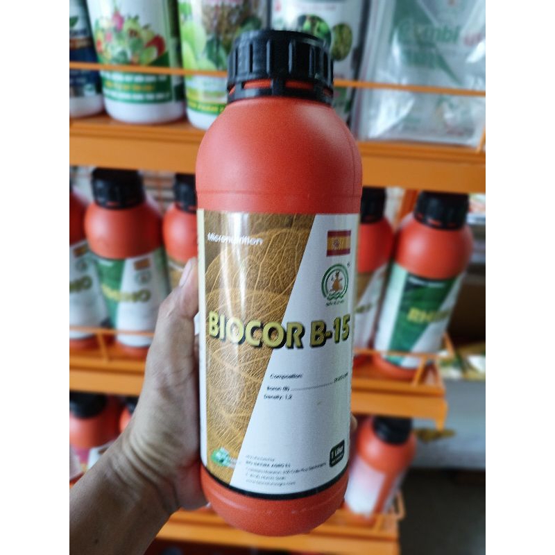 Phân bón lá siêu Bo chuyên dùng cho cây sầu riêng chai 1 lít