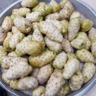 1kg trái nhào tươi hữu cơ trái nhàu tươi organic 1kg