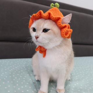 Mũ cà rốt cho mèo dễ thương