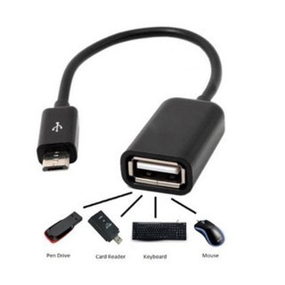 Combo 2 cáp otg usb cái - microusb