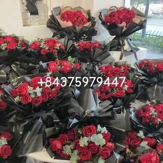 Hoa hồng đỏ red rose love