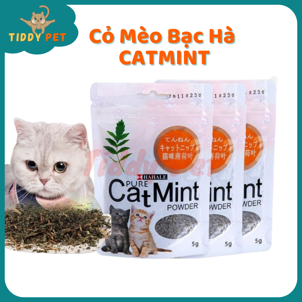 Cỏ Mèo Bạc Hà CATMINT Giúp Mèo Thư Giản Gói 5gr - Tiddy Pet Shop