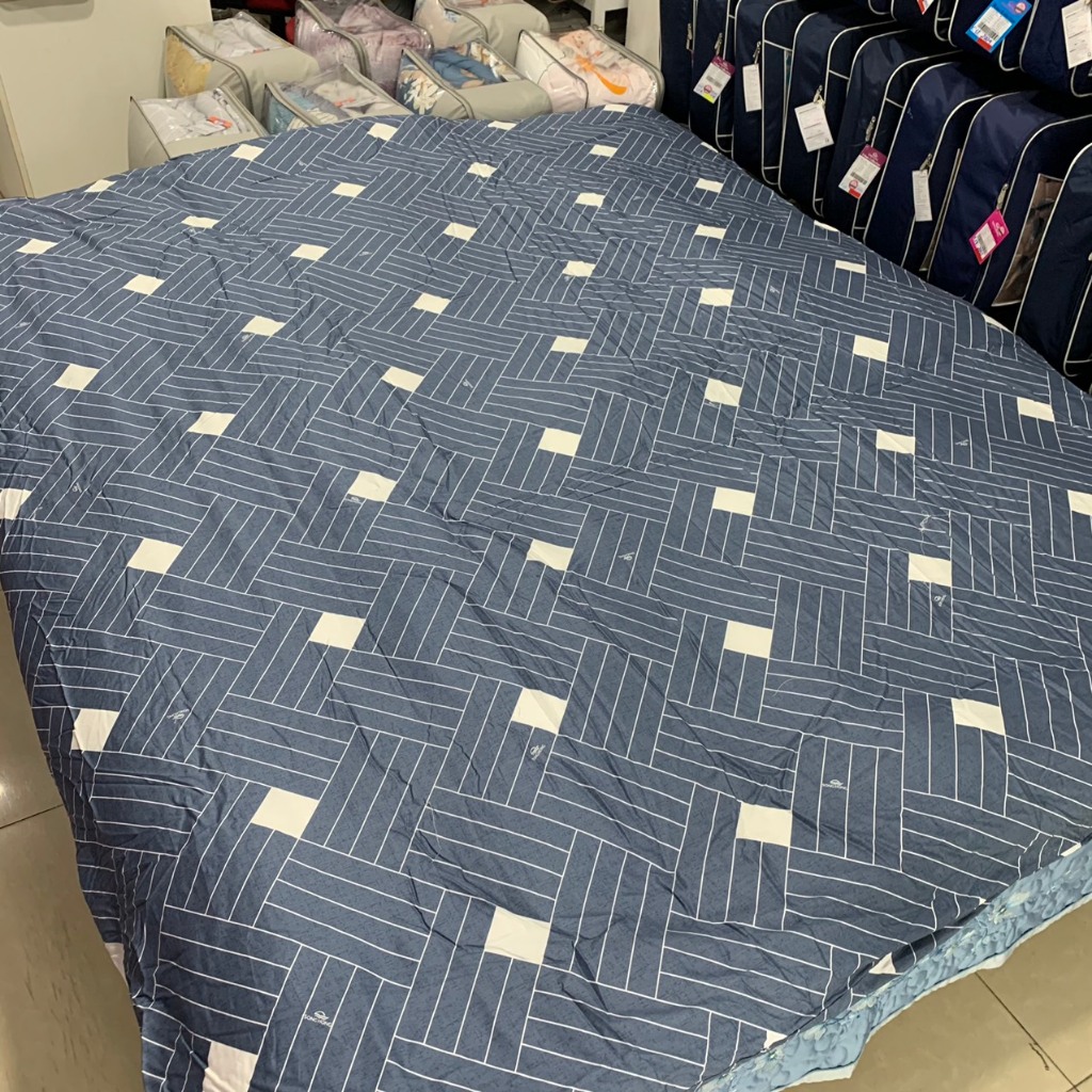 CHĂN ĐÔNG 2,0X220 COTTON VỎ VÀ RUỘT