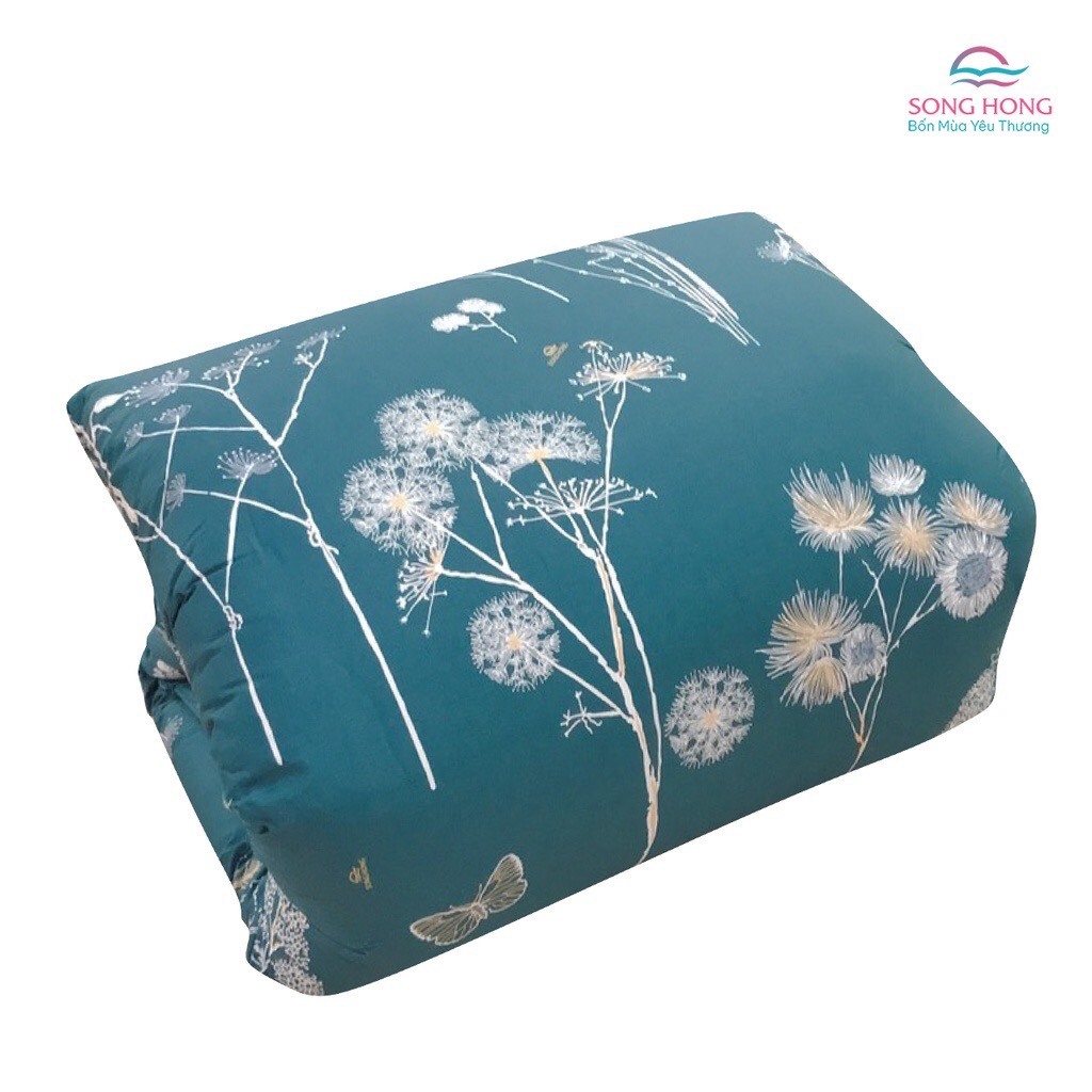 CHĂN ĐÔNG 2,0X220 COTTON VỎ VÀ RUỘT