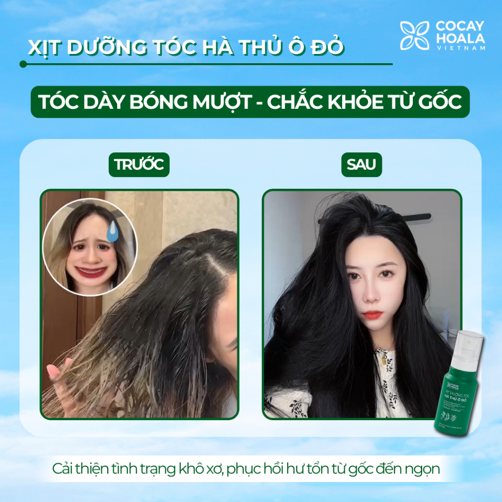 XỊT DƯỠNG TÓC HÀ THỦ Ô ĐỎ CỎ CÂY HOA LÁ 100GR - CẢI THIỆN GÃY RỤNG