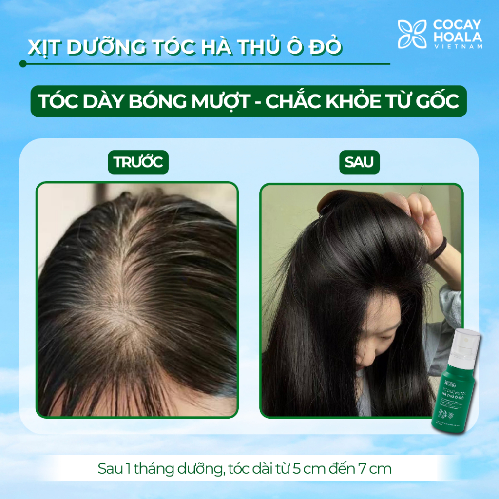 XỊT DƯỠNG TÓC HÀ THỦ Ô HƯƠNG NƯỚC HOA CỎ CÂY HOA LÁ VIỆT NAM - KÍCH THÍCH MỌC TÓC PHÙ HỢP VỚI MỌI LOẠI TÓC- CHAI 100G