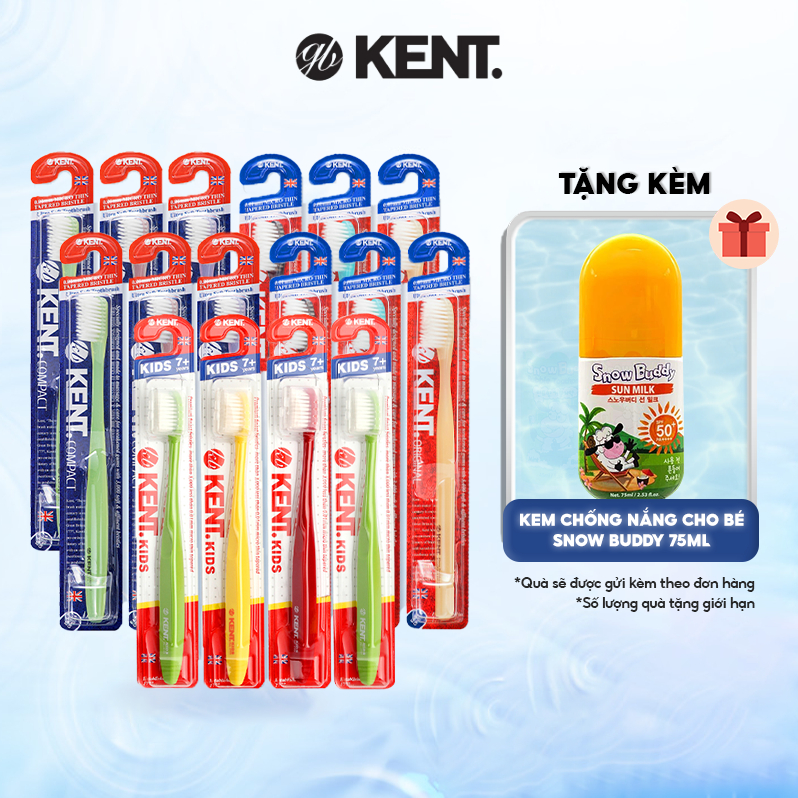 [TẶNG KEM CHỐNG NẮNG CHO BÉ] Combo Bàn Chải Đánh Răng Cho Cả Gia Đình (6 Bàn Chải Nam+6 Bàn Chải Nữ + 4 Bàn Chải Trẻ Em)
