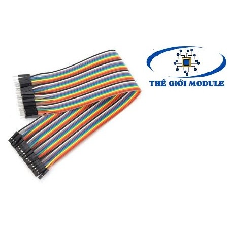 Dây bus, dây bẹ đực cái 30cm (40 sợi)