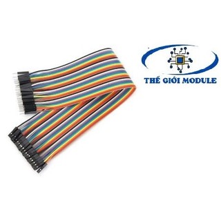Dây bus, dây bẹ đực cái 30cm
