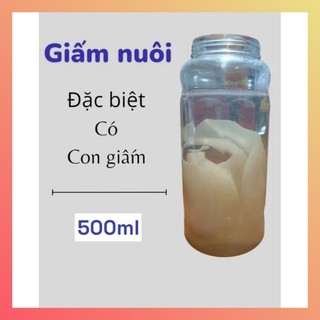 Con giấm nuôi + nước mồi