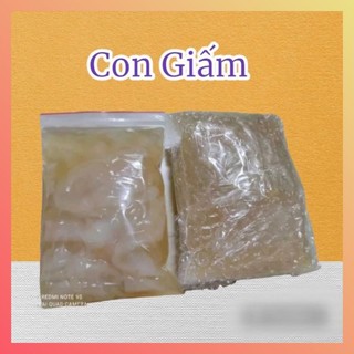 10 con giấm kèm 500ml nước mồi lên men tự nhiên,hổ trợ cách nuôi giấm