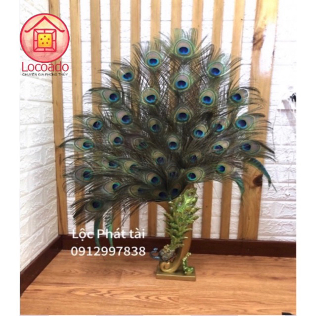 🦚COMBO Bình cắm LÔNG CÔNG 26-30-36 cành lông công đẹp