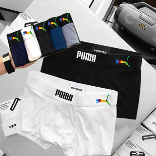 Hộp 5 quần lót nam Boxer PM chất liệu thun lạnh mềm mại, quần sịp đùi cao cấp thời trang dành cho nam