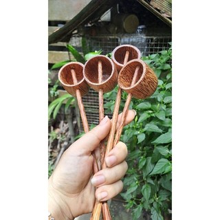 Múc rượu bằng gỗ dừa