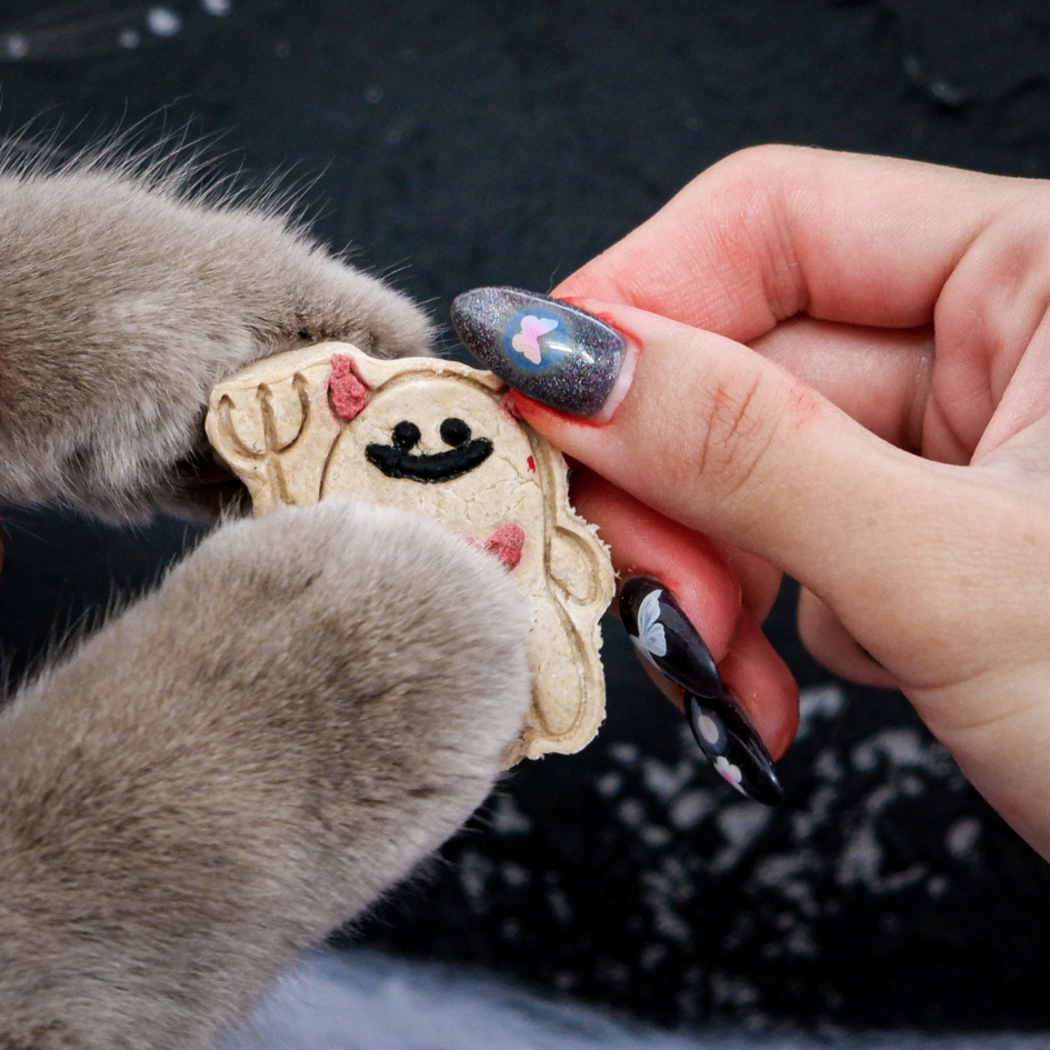 Bánh Sấy Khô Homemade Cho Chó Nhân Cá Basa / Thịt Heo Kẹo Sữa Bí Đỏ Dịp Halloween Cho Thú Cưng