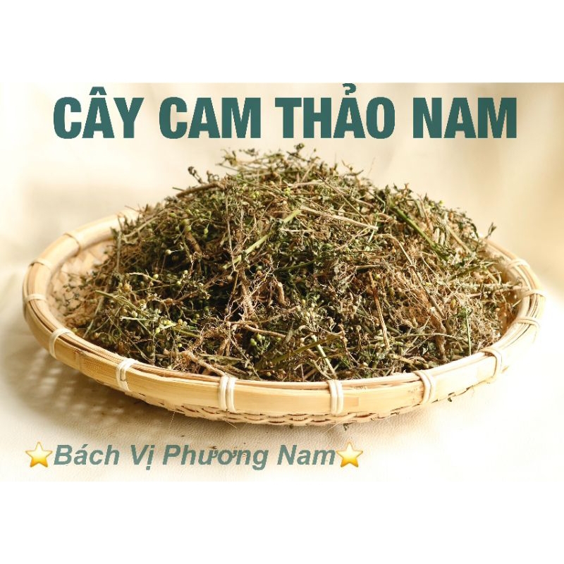 Cây Cam Thảo Nam  Khô Đóng Gói 1kg - Bách Vị Phương Nam
