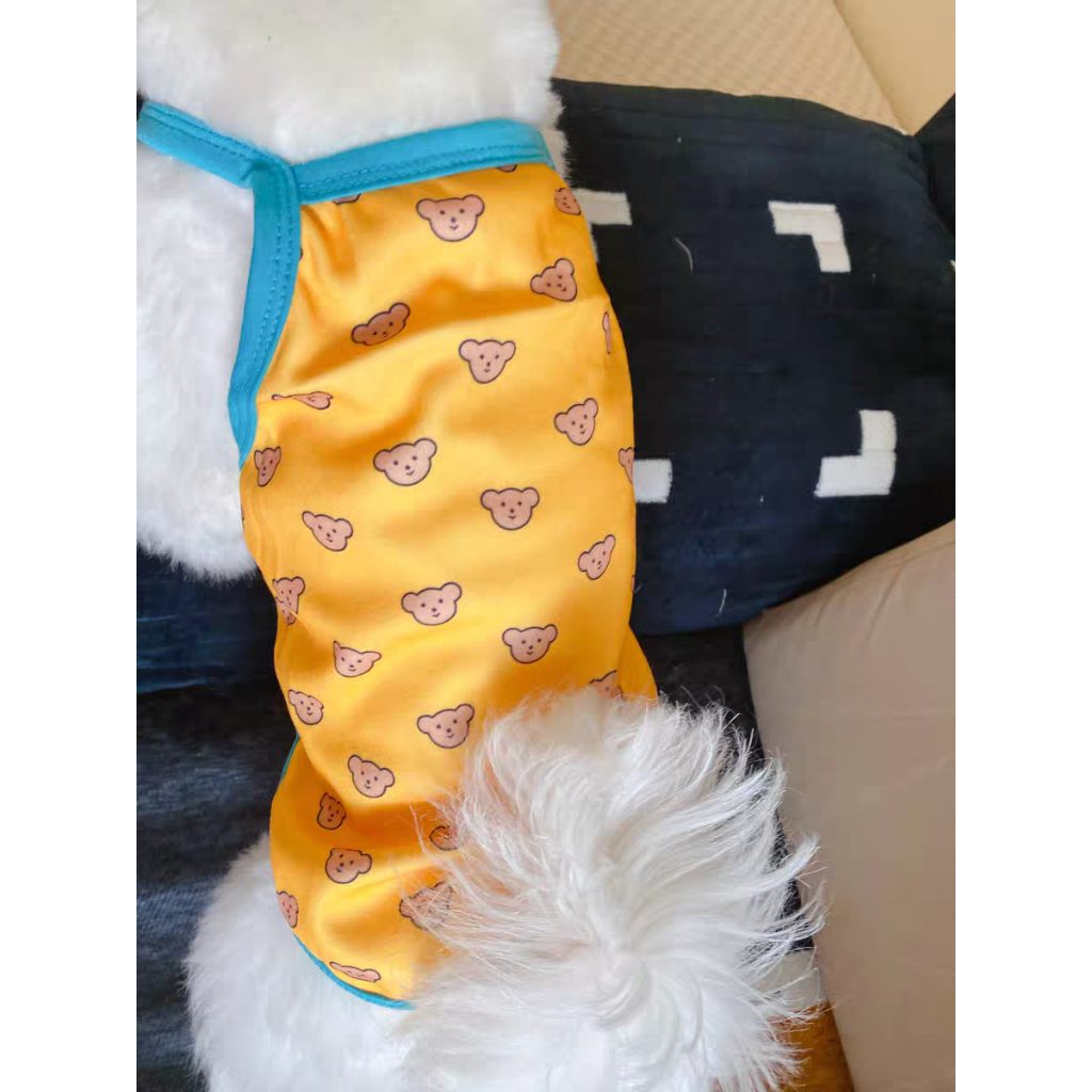 Áo hai dây gấu nâu nhí dành cho thú cưng