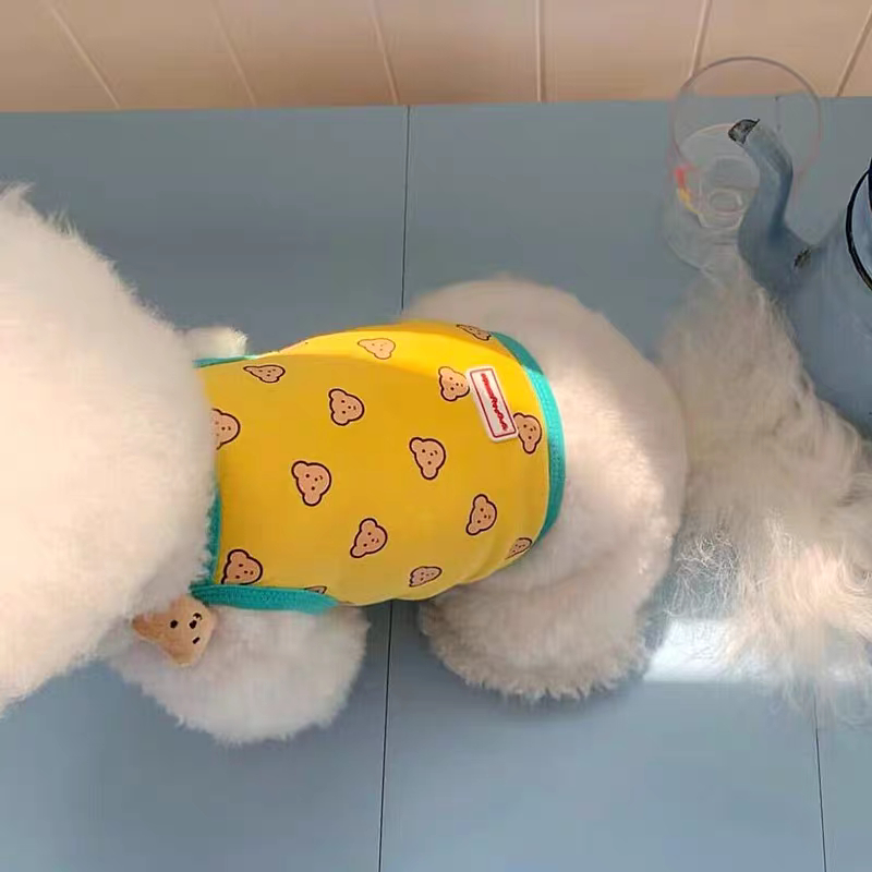 Áo hai dây gấu nâu nhí dành cho thú cưng