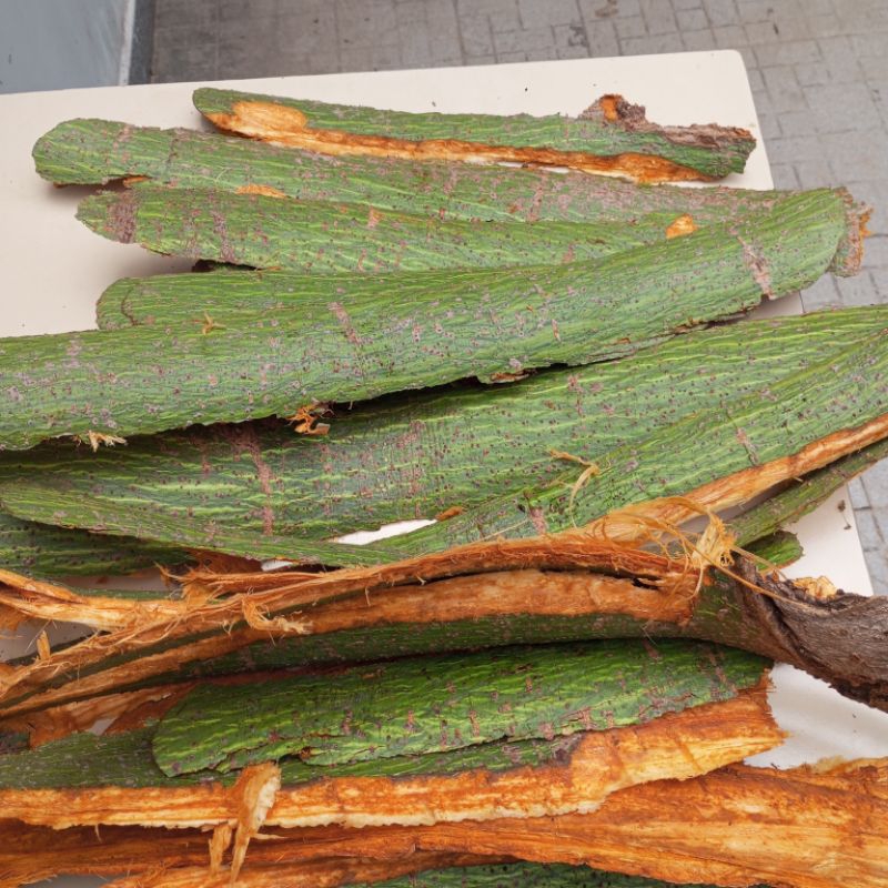 1kg Vỏ Cây Gòn Tươi (Vỏ Cây Bông Gòn tươi)
