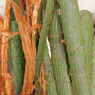 1kg Vỏ Cây Gòn Tươi (Vỏ Cây Bông Gòn tươi)