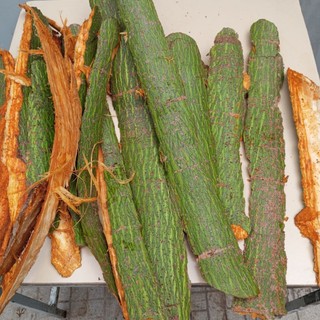 1kg Vỏ Cây Gòn Tươi (Vỏ Cây Bông Gòn tươi)