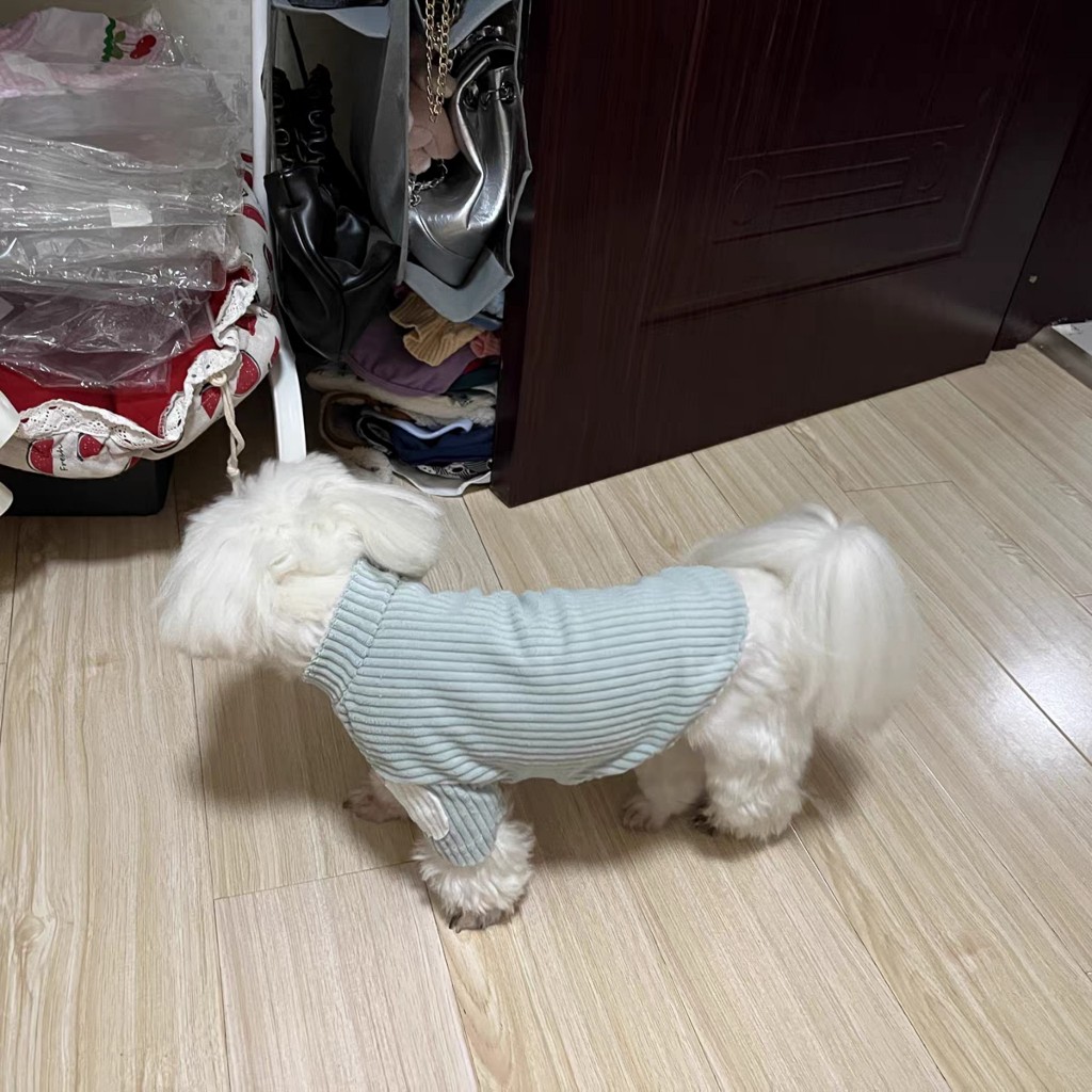 Áo nhung tăm trơn dành cho thú cưng