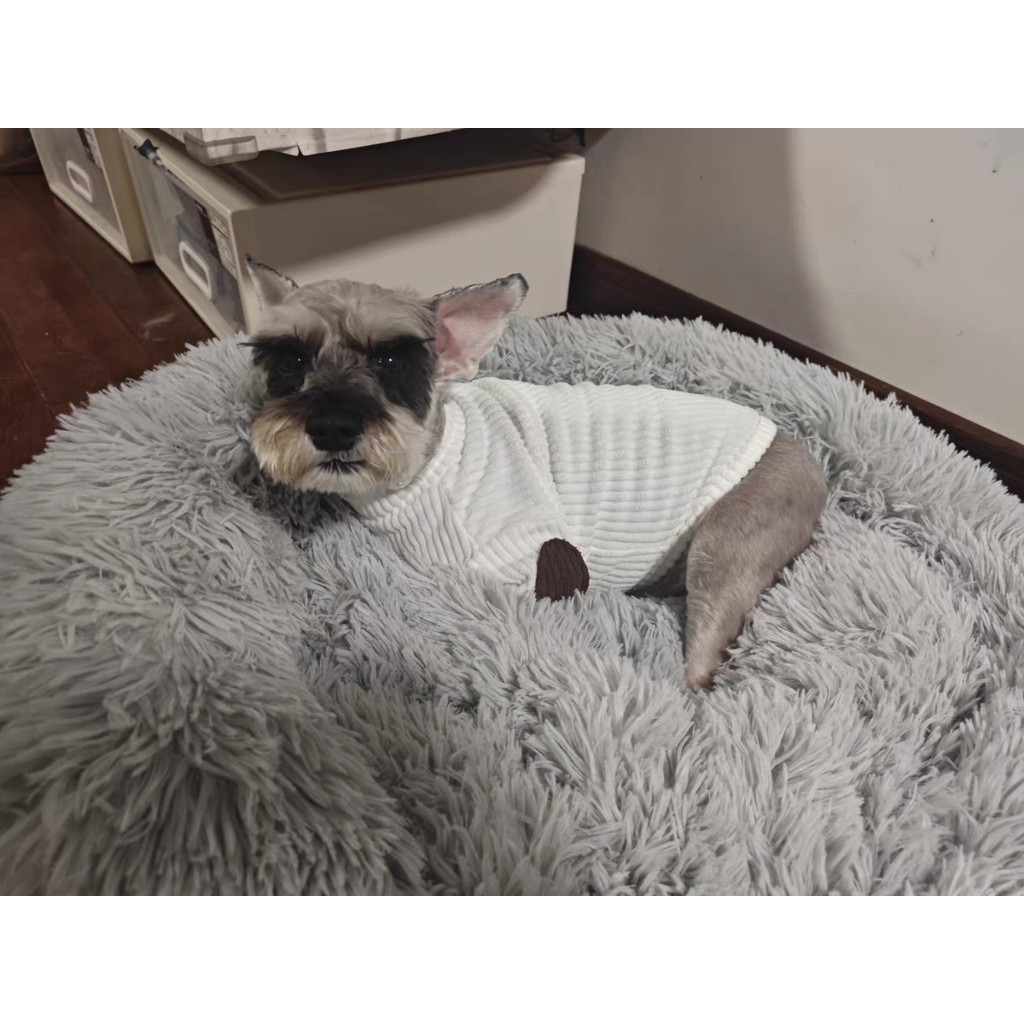 Áo nhung tăm trơn dành cho thú cưng