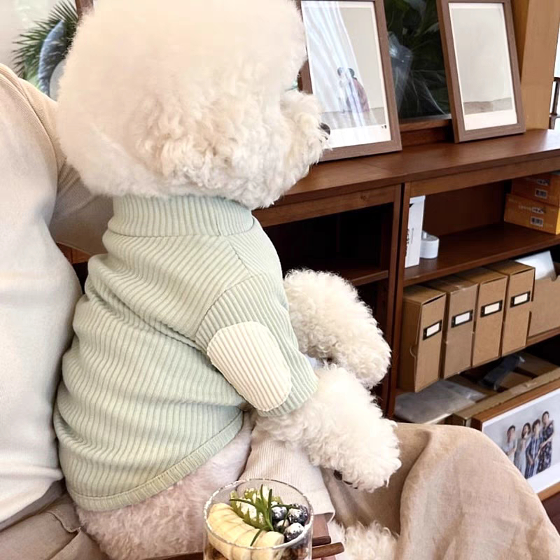 Áo nhung tăm trơn dành cho thú cưng