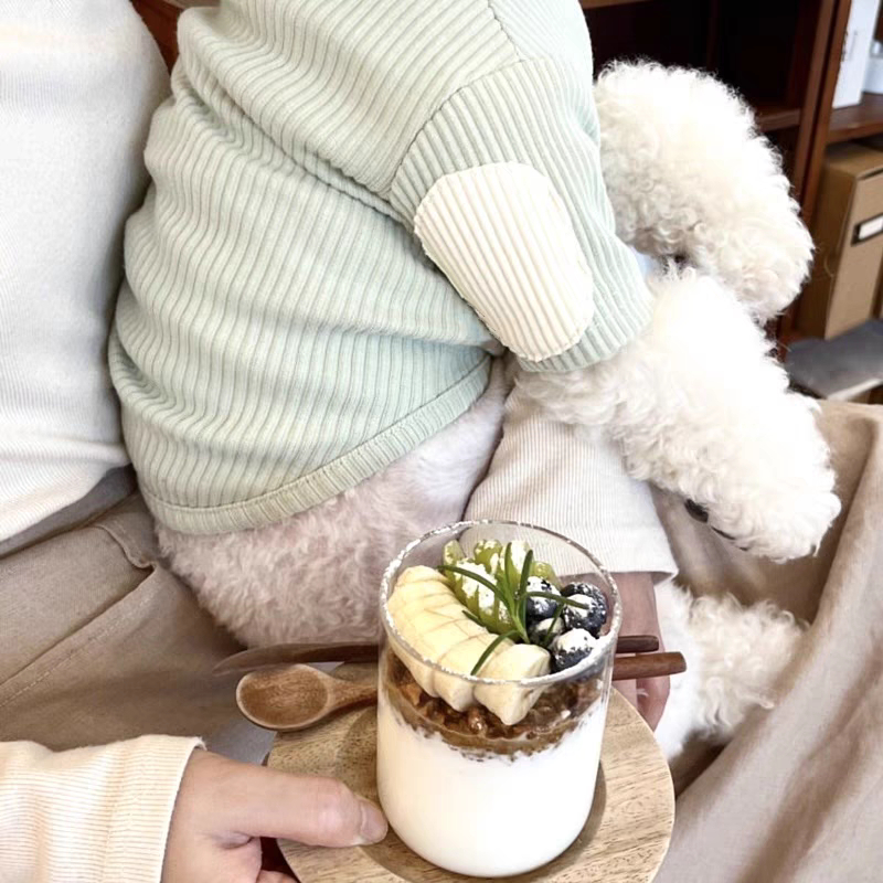 Áo nhung tăm trơn dành cho thú cưng