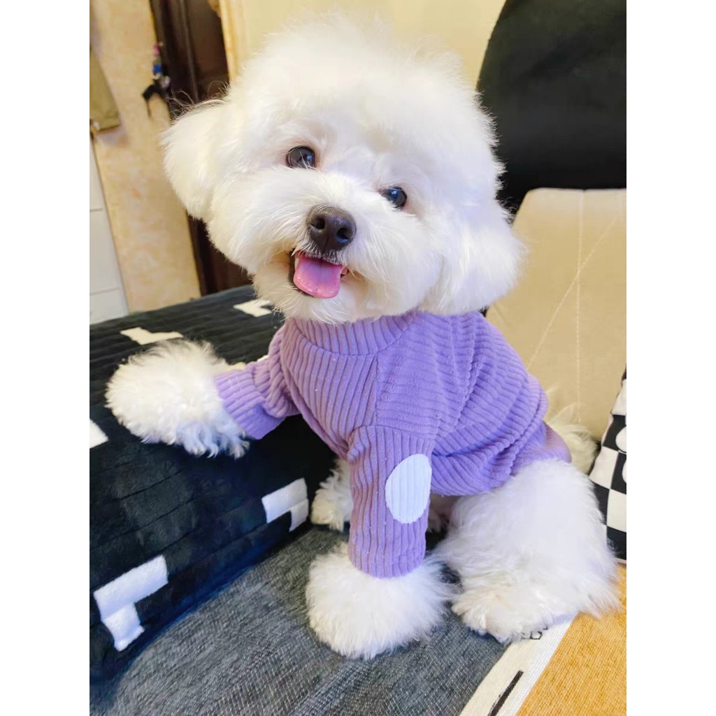 Áo nhung tăm trơn dành cho thú cưng