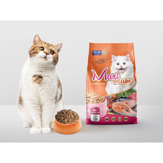 Hạt Maximum cho mèo túi 1kg 🐈🐈