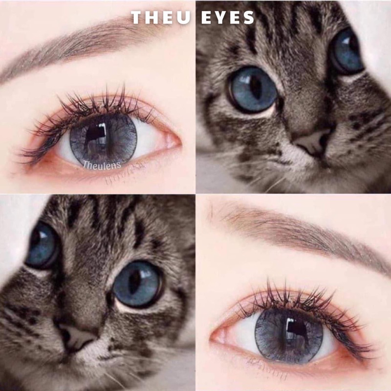 ( 𝐇𝐚̀𝐧𝐠 𝐂𝐨́ 𝐂𝐚̣̂𝐧 ) ✨ Kính Áp Tròng Lens Tommy 062 Gray Size Giãn To 14.5mm - Hsd 12Tháng