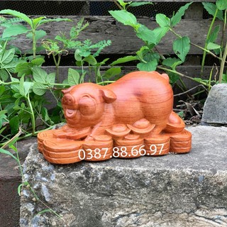Tượng con heo linh vật tuổi hợi dài 15 20cm chất liệu gỗ hương cực đẹp
