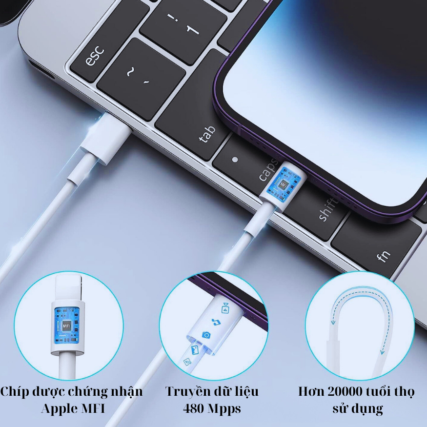 Bộ Sạc nhanh chính hãng cáp Type Cvdành cho dòng Ip 7,8,X,XS,11,12,13,14,15,pro