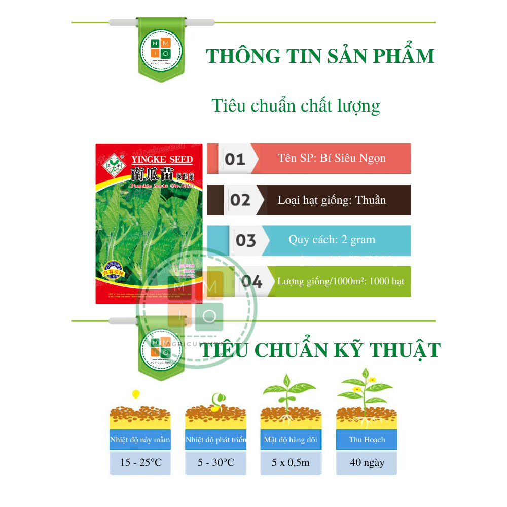 Hạt giống bí siêu ngọn Đài Loan, giòn ngọt giàu dinh dưỡng