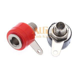 Jack Bắp Chuối , Jack Loa Gold 4mm