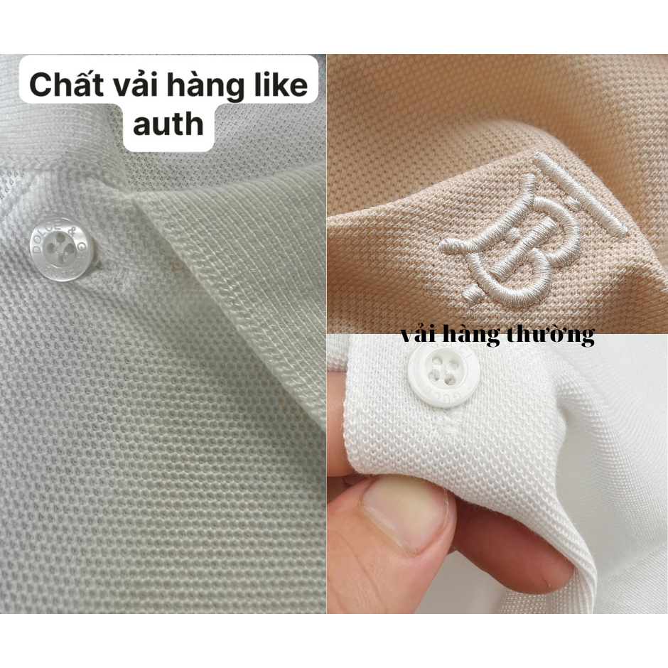 Áo polo nam cao cấp BBR classic - bản likeauth