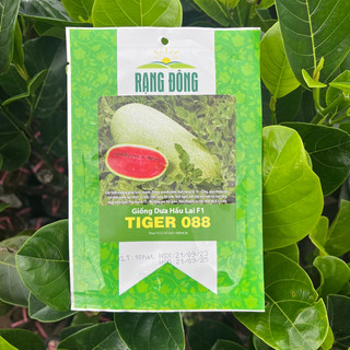 Hạt giống dưa hấu Rado ( vỏ mỏng, thịt ngọt)