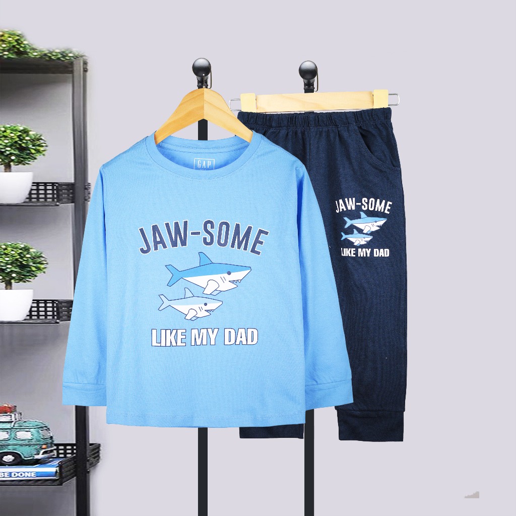 B005-Bộ bé trai tay dài 2-8, chất liệu cotton mềm mịn cho bé có số kí từ 11-28kg