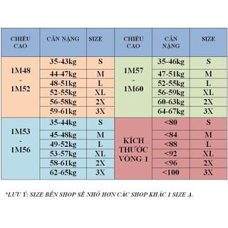 AM44- ÁO LỤA DỄ THƯƠNG CÔNG SỞ