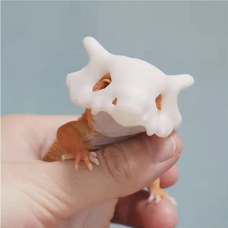 Mặt nạ cute cho pet Thằn Lằn, tắc kè, rùa
