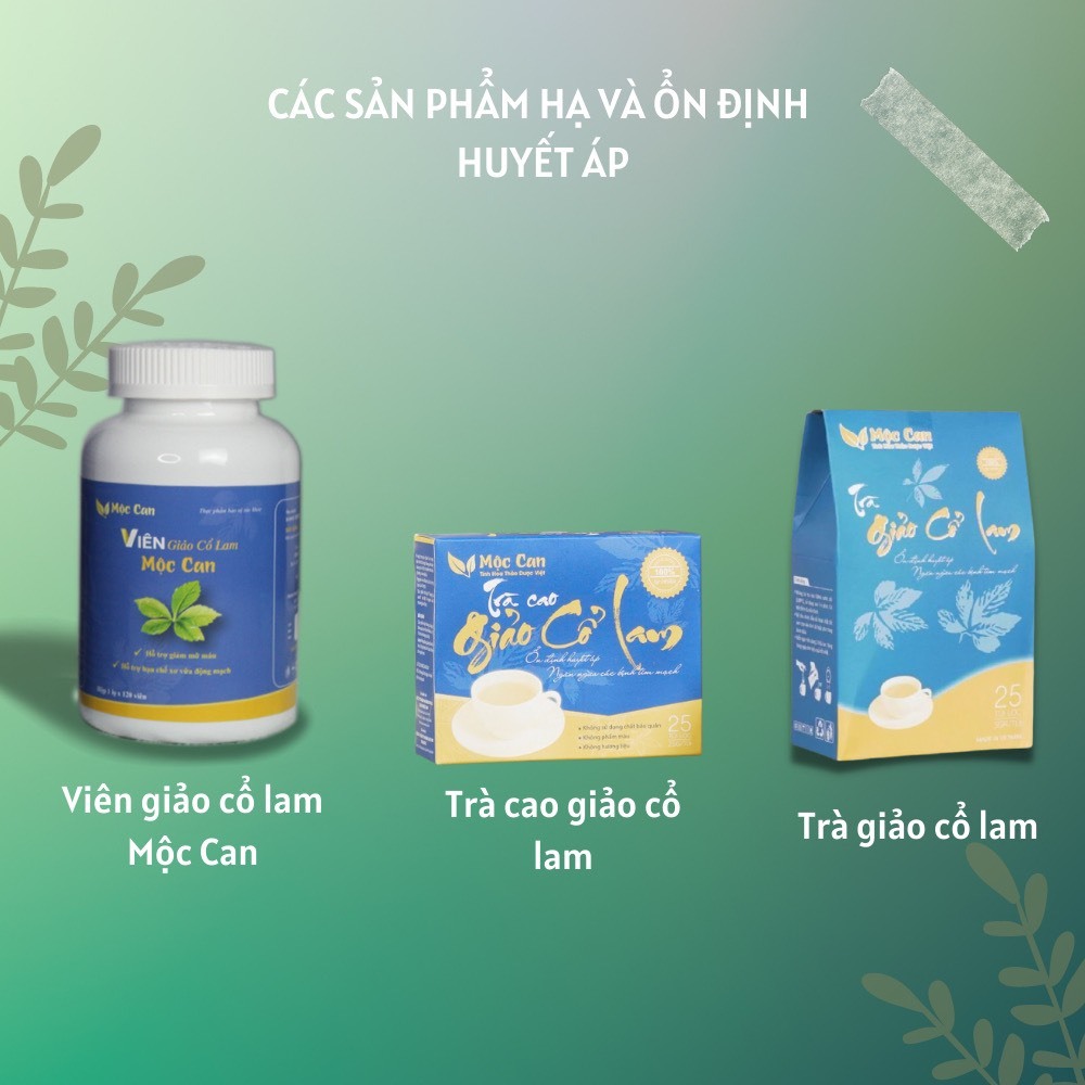 Trà Giảo Cổ Lam Mộc Can ổn định huyết áp, giảm mỡ máu giảm cân, ngăn xơ vữa mạch máu, bình ổn huyết áp hộp 25 túi lọc